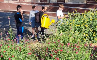 ACCUEIL D’UNE RESIDENCE D’AUTEUR EN 4ème