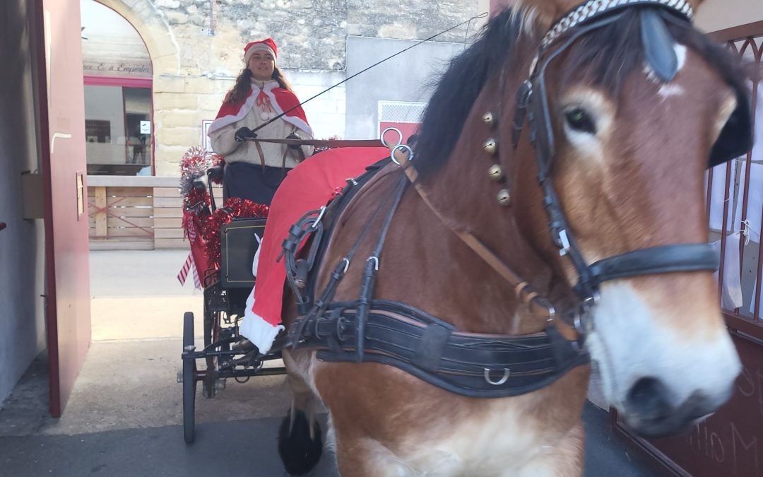 JOURNEE DE NOEL AU COLLEGE!