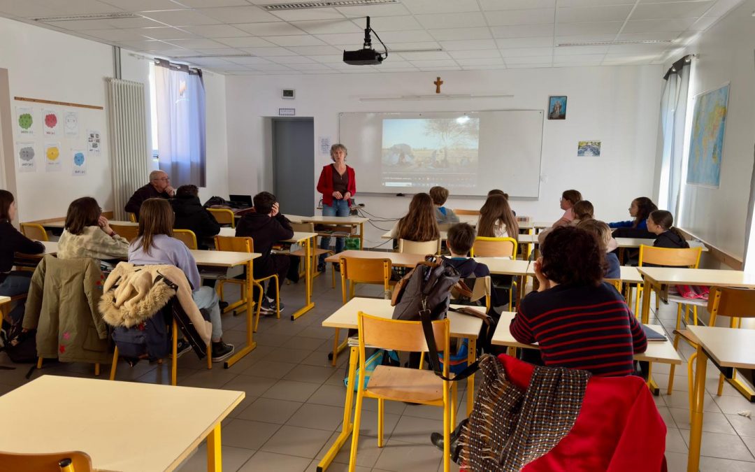 TEAM CARLO ET ECO DELEGUES