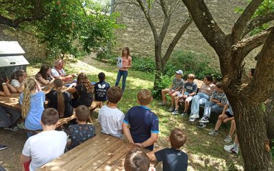 PRESENTATION D’UN HERBIER