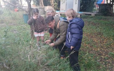 Créer des lien dans l’univers de Hayao Miyasaki