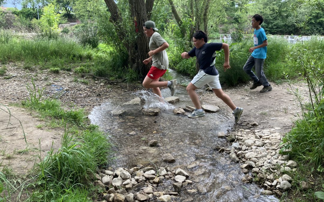 Le cross « olympique » de l’Institution