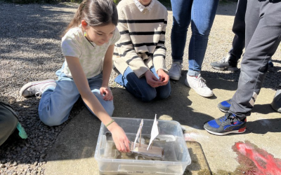 Un tsunami gagnant pour les maquettes du club sciences