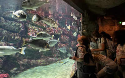 Une journée d’exploration à Planète Océan